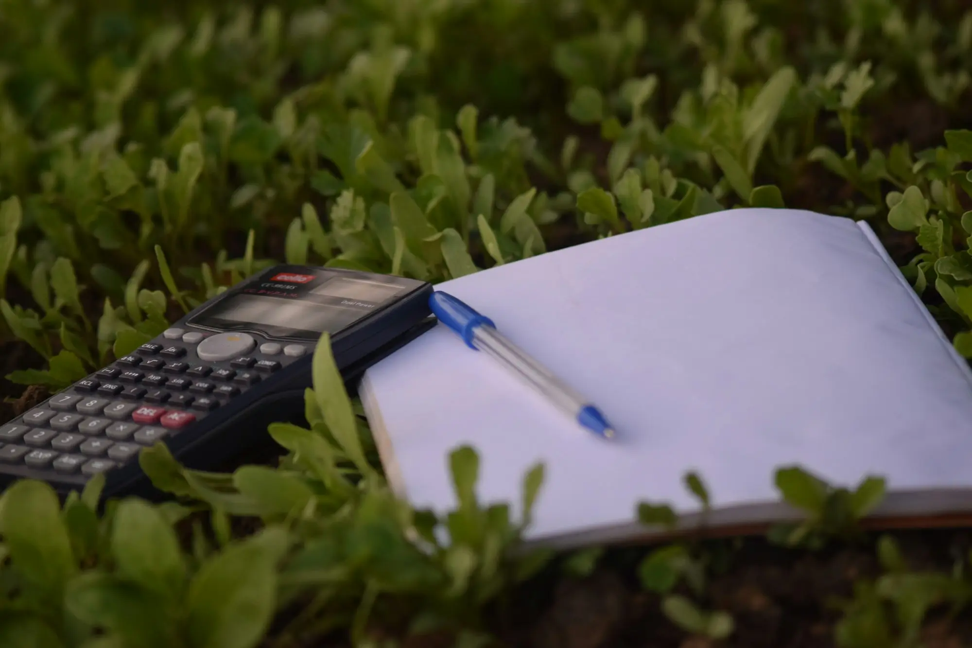 Owner budget review in an Australian small business setting