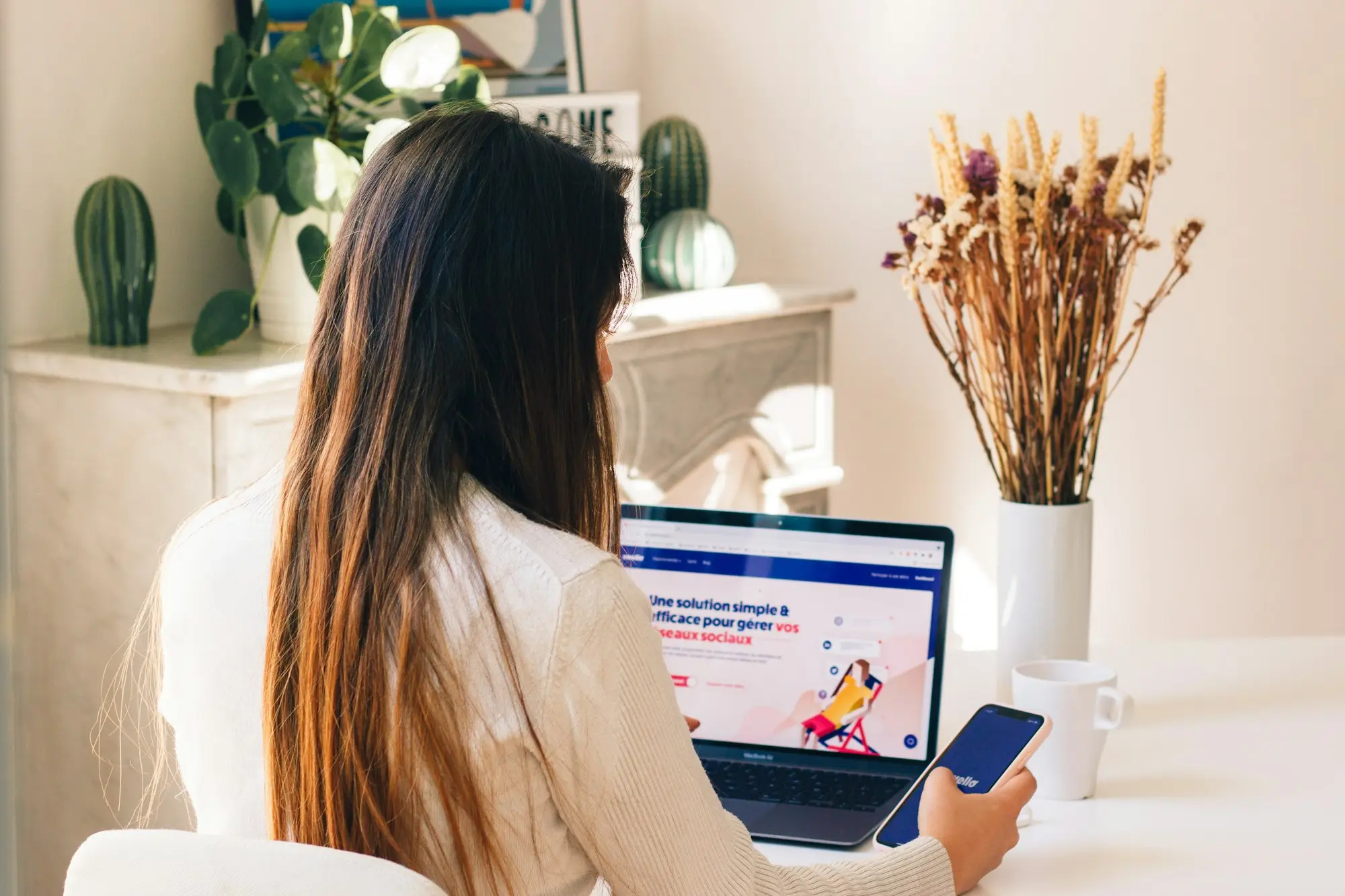 Owner laptop online application